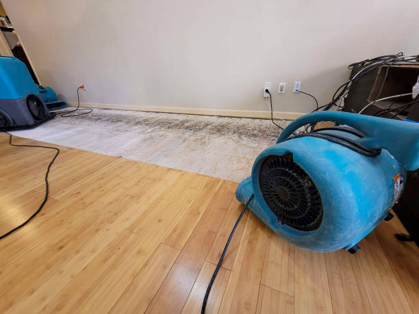 Professional Water Damage Repair technician working in Cambria Heights, NY
